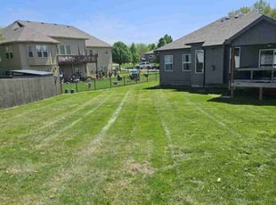 Stephen P.'s Lawn Mowing service result