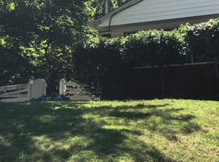Bush Trimming by Shawn Stewart for Richard G. in Temple Hills, MD