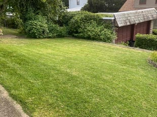 Linsey L.'s Lawn Maintenance service result