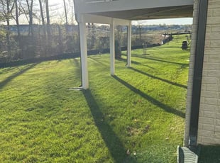 Susan D.'s Yard Cutting service result