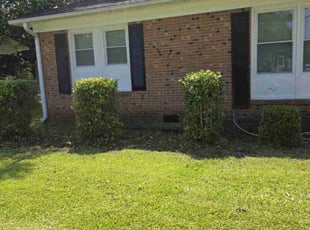 Bush Trimming by Valecia Thompson for Juan M. in Fayetteville, NC