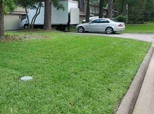 Nneka P.'s Lawn Care service result