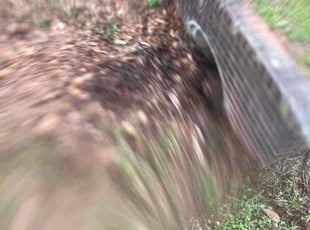 Cleanups by Herschell Bradley for Monica H. in Tallahassee, FL