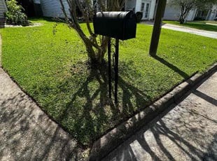 Ana G.'s Lawn Care service result