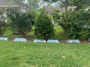 Weeding by Layken Hebert for George V. in Baton Rouge, LA