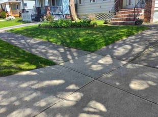 Ronald J.'s Lawn Service service result