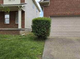 Bush Trimming by Andrew Cooperrider for Blake B. in Lexington, KY