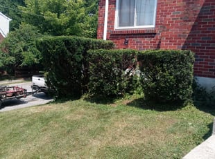 Bush Trimming by Ronald Jacobs for Cheri C. in Cincinnati, OH