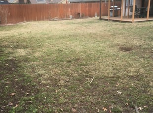 Cleanups by Roger Brock for Michael M. in Tulsa, OK