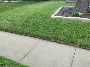 Hannah Z.'s Lawn Care service result