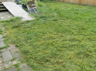 Gabrielle M.'s Lawn Service service result