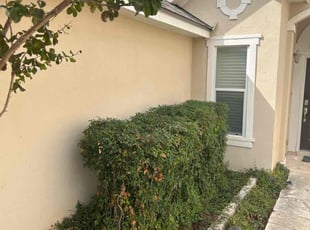Bush Trimming by Deaunce Gidrey for Fouad E. in San Antonio, TX