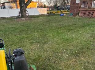 Leaf Removal by Tom Friend for Joe H. in Butler, PA