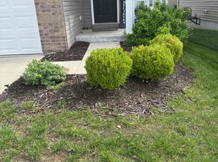 Bush Trimming by Jacob Leach for Linda G. in Saint Charles, MO
