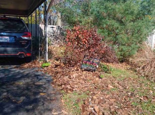 Bush Trimming by Robert Pittman for Emily G. in Columbus, OH