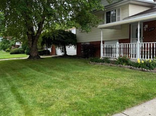 Jezail J.'s Lawn Service service result