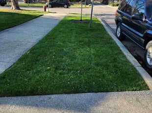 Kim E.'s Lawn Mowing Service service result