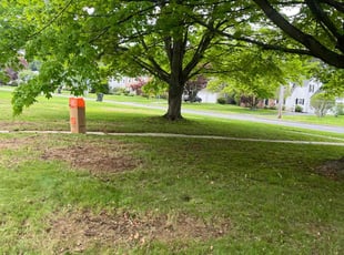 Cleanups by Ruben Fox for Trey B. in West Hartford, CT