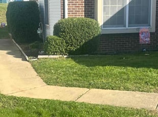 Bush Trimming by joe medina for Joan N. in Bear, DE
