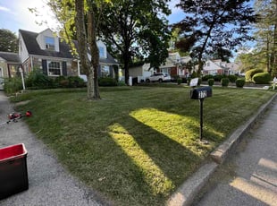 Travis B.'s Yard Cutting service result
