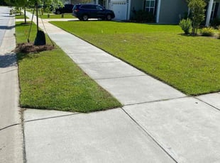 Lisa J.'s Lawn Mowing service result