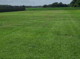 Kevin S.'s Lawn Mowing service result