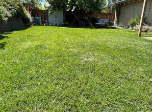 Wally T.'s Lawn Service service result