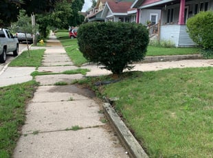 Bush Trimming by Ryan Cooper for LAURA R. in Grand Rapids, MI