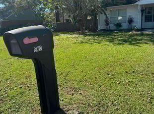David D.'s Lawn Care service result