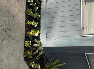 Cleanups by Juanita Murillo for Jennifer H. in Corpus Christi, TX
