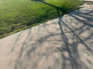 Hope H.'s Lawn Service service result