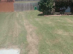 Bola O.'s Lawn Maintenance service result