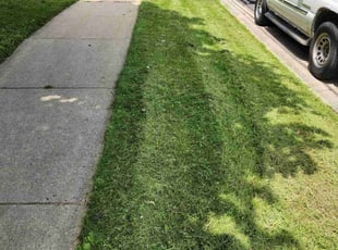 Anthony V.'s Lawn Mowing Service service result