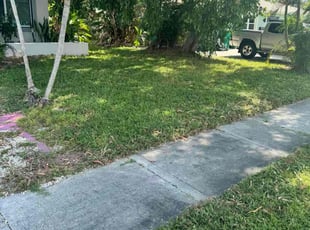 Cleanups by David Scheafnocker for Yuri P. in Naples, FL