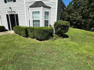 Bush Trimming by cesar rodriguez for Quawn A. in Jonesboro, GA