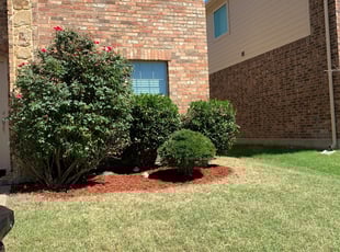 Landscaping by Michael Flores for Steven P. in Royse City, TX