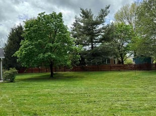 Jason G.'s Lawn Mowing Service service result