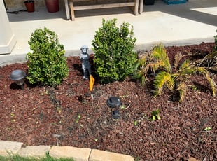 Cleanups by Stanmore Hinds for Tarja H. in Schertz, TX