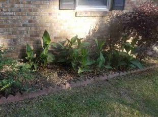 Weeding by Derrick gadsden for Ashley L. in North Charleston, SC