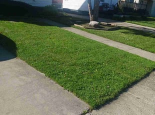 Kenneth A.'s Lawn Service service result