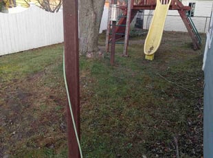 Leaf Removal by Andre Dennis for Cat H. in Berkley, MI