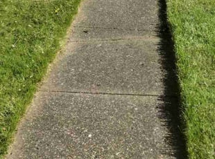 Severino D.'s Lawn Mowing service result