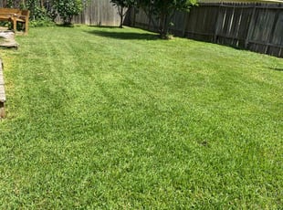 Tony A.'s Lawn Care service result