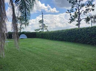 James W.'s Lawn Service service result
