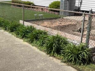 Weeding by Derrick Brown for Charles S. in Newport News, VA