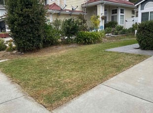 Birdie R.'s Lawn Service service result