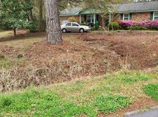 Leaf Removal by Joshua Karnes for John W. in Charleston, SC