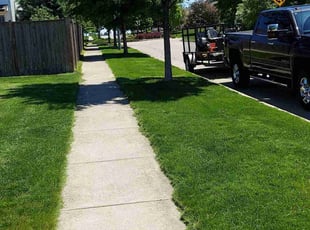 Dorothy K.'s Lawn Mowing Service service result