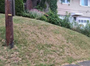 Cleanups by Peter Conley for Damonae O. in Akron, OH