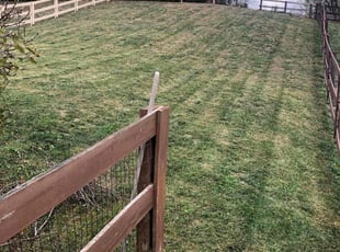 sean f.'s Lawn Maintenance service result